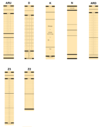 System-Rückenschilder - selbstklebend